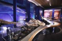 OM Plesiosaur